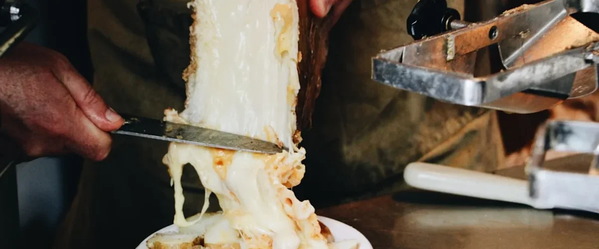 comment choisir son appareil a raclette